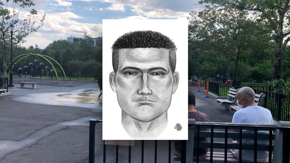 New York City girl, 13, sexually assaulted at knifepoint during broad daylight in park: police