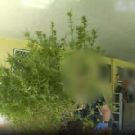 Video: guns, drugs and ammo found in Logan raids